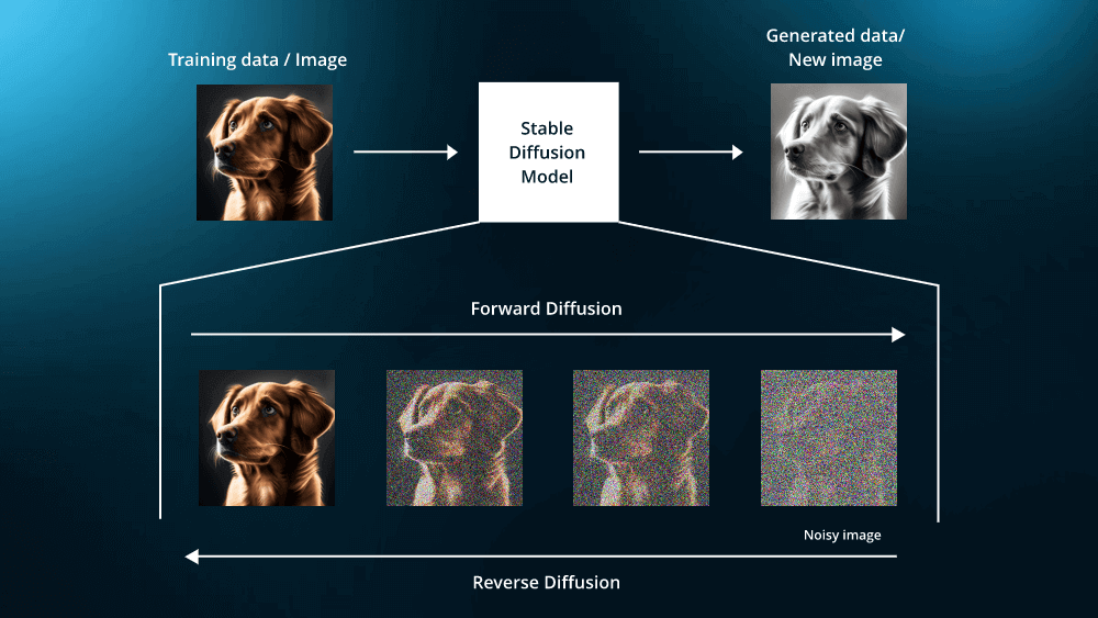 Diffusion Models